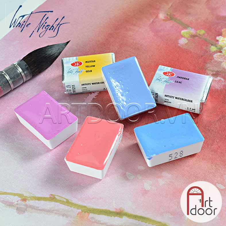 [ARTDOOR] Màu nước WHITE NIGHTS Pastel dạng nén